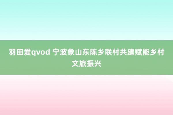 羽田爱qvod 宁波象山东陈乡联村共建赋能乡村文旅振兴