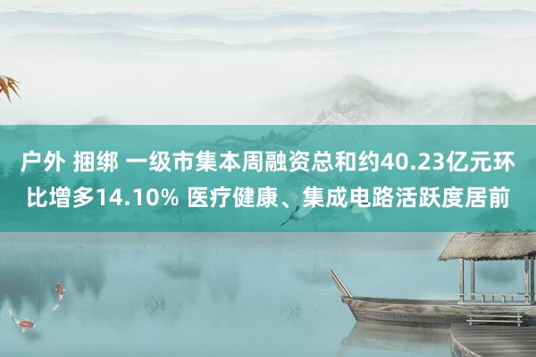 户外 捆绑 一级市集本周融资总和约40.23亿元环比增多14.10% 医疗健康、集成电路活跃度居前