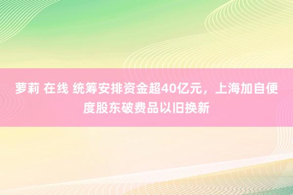 萝莉 在线 统筹安排资金超40亿元，上海加自便度股东破费品以旧换新