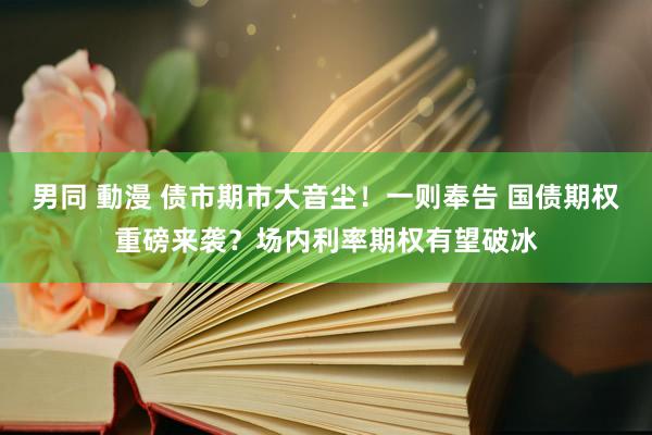 男同 動漫 债市期市大音尘！一则奉告 国债期权重磅来袭？场内利率期权有望破冰