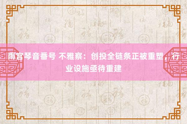 雨宫琴音番号 不雅察：创投全链条正被重塑，行业设施亟待重建