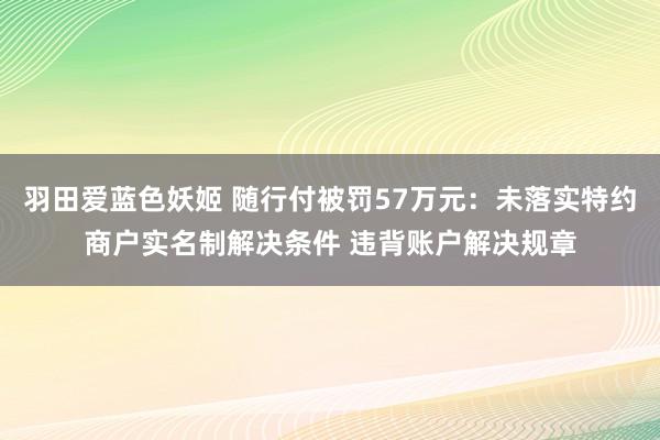 羽田爱蓝色妖姬 随行付被罚57万元：未落实特约商户实名制解决条件 违背账户解决规章