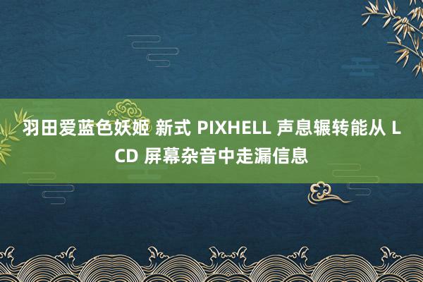 羽田爱蓝色妖姬 新式 PIXHELL 声息辗转能从 LCD 屏幕杂音中走漏信息