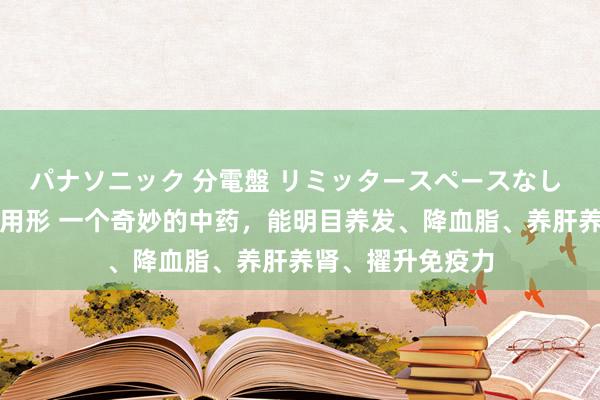 パナソニック 分電盤 リミッタースペースなし 露出・半埋込両用形 一个奇妙的中药，能明目养发、降血脂、养肝养肾、擢升免疫力