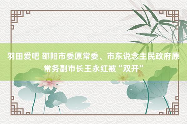 羽田爱吧 邵阳市委原常委、市东说念主民政府原常务副市长王永红被“双开”