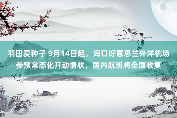 羽田爱种子 9月14日起，海口好意思兰外洋机场参预常态化开动情状，国内航班将全面收复