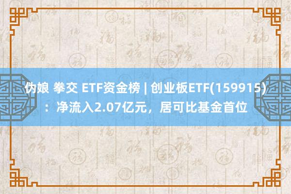 伪娘 拳交 ETF资金榜 | 创业板ETF(159915)：净流入2.07亿元，居可比基金首位