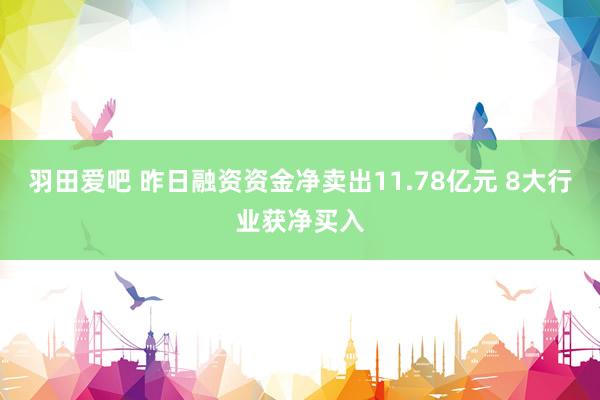 羽田爱吧 昨日融资资金净卖出11.78亿元 8大行业获净买入