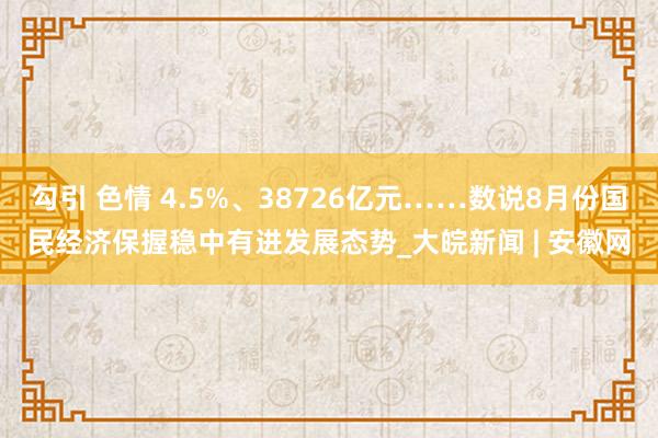 勾引 色情 4.5%、38726亿元……数说8月份国民经济保握稳中有进发展态势_大皖新闻 | 安徽网