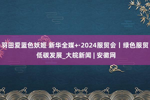 羽田爱蓝色妖姬 新华全媒+·2024服贸会丨绿色服贸 低碳发展_大皖新闻 | 安徽网