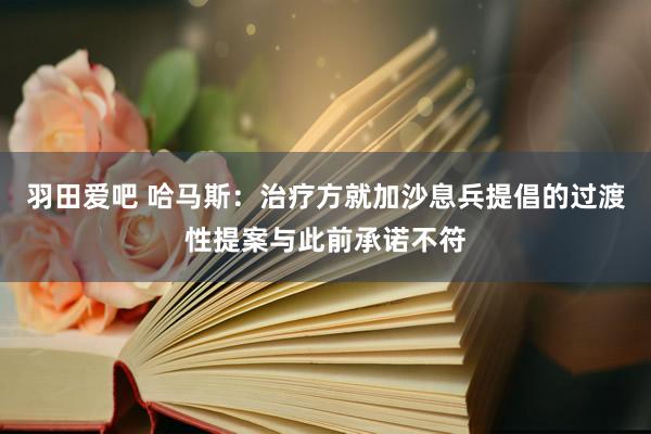 羽田爱吧 哈马斯：治疗方就加沙息兵提倡的过渡性提案与此前承诺不符