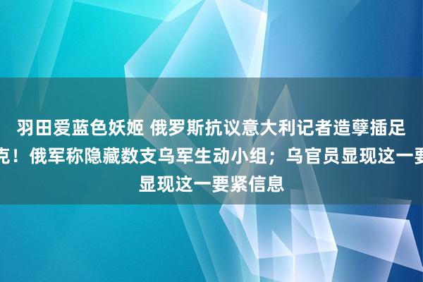 羽田爱蓝色妖姬 俄罗斯抗议意大利记者造孽插足库尔斯克！俄军称隐藏数支乌军生动小组；乌官员显现这一要紧信息