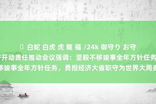 ✨白蛇 白虎 虎 龍 福 /24k 御守り お守り 王晓晖主理召开全省经济开动责任推动会议强调：坚毅不移竣事全年方针任务，勇担经济大省职守为世界大局多作孝顺