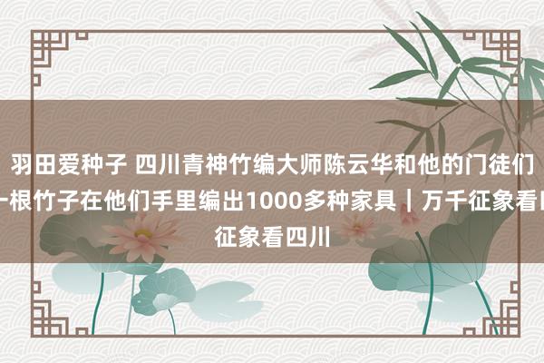 羽田爱种子 四川青神竹编大师陈云华和他的门徒们：一根竹子在他们手里编出1000多种家具｜万千征象看四川