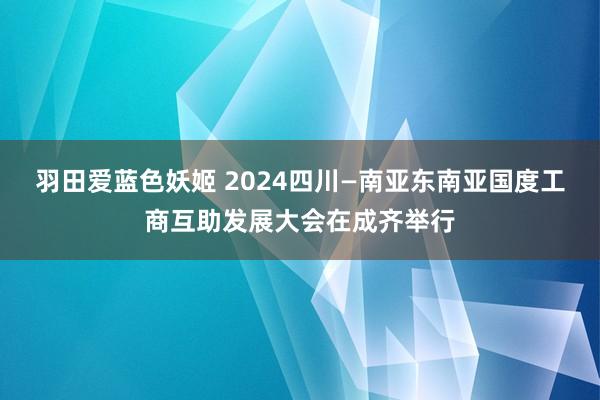 羽田爱蓝色妖姬 2024四川—南亚东南亚国度工商互助发展大会在成齐举行