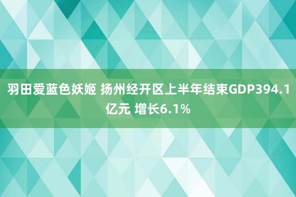 羽田爱蓝色妖姬 扬州经开区上半年结束GDP394.1亿元 增长6.1%