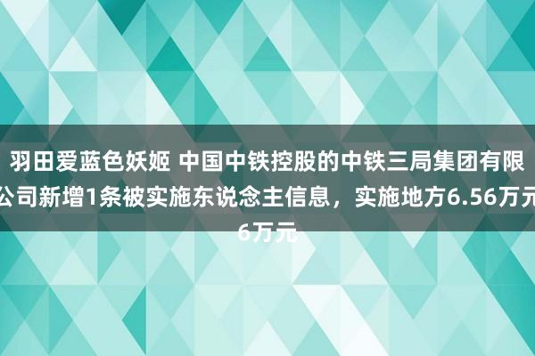 羽田爱蓝色妖姬 中国中铁控股的中铁三局集团有限公司新增1条被实施东说念主信息，实施地方6.56万元