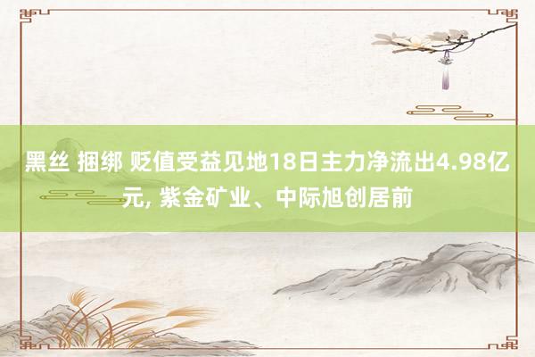 黑丝 捆绑 贬值受益见地18日主力净流出4.98亿元， 紫金矿业、中际旭创居前