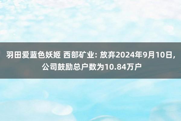 羽田爱蓝色妖姬 西部矿业: 放弃2024年9月10日， 公司鼓励总户数为10.84万户