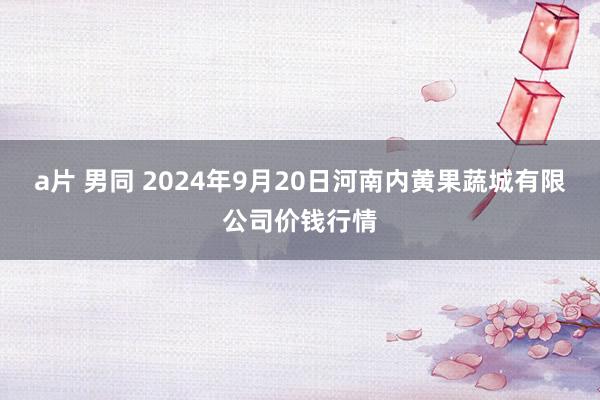 a片 男同 2024年9月20日河南内黄果蔬城有限公司价钱行情