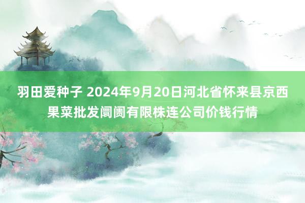 羽田爱种子 2024年9月20日河北省怀来县京西果菜批发阛阓有限株连公司价钱行情