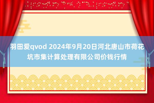 羽田爱qvod 2024年9月20日河北唐山市荷花坑市集计算处理有限公司价钱行情