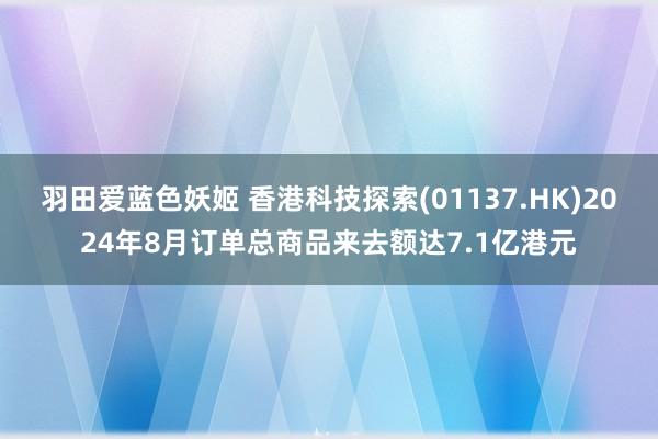 羽田爱蓝色妖姬 香港科技探索(01137.HK)2024年8月订单总商品来去额达7.1亿港元