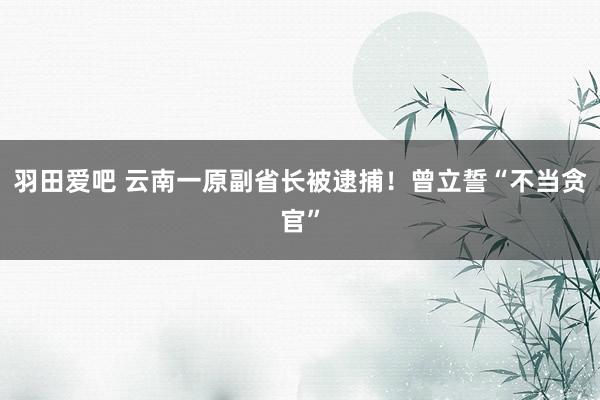 羽田爱吧 云南一原副省长被逮捕！曾立誓“不当贪官”