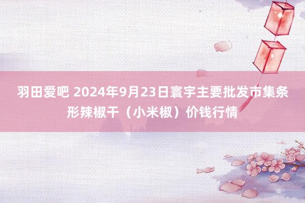 羽田爱吧 2024年9月23日寰宇主要批发市集条形辣椒干（小米椒）价钱行情