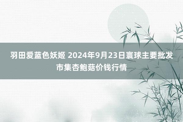 羽田爱蓝色妖姬 2024年9月23日寰球主要批发市集杏鲍菇价钱行情