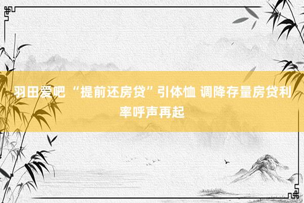 羽田爱吧 “提前还房贷”引体恤 调降存量房贷利率呼声再起