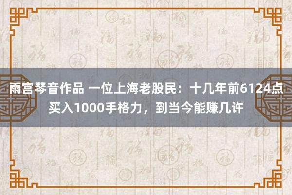 雨宫琴音作品 一位上海老股民：十几年前6124点买入1000手格力，到当今能赚几许