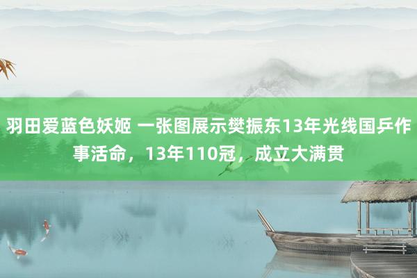 羽田爱蓝色妖姬 一张图展示樊振东13年光线国乒作事活命，13年110冠，成立大满贯