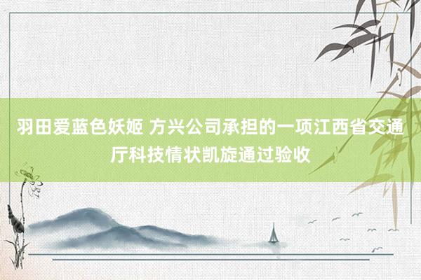 羽田爱蓝色妖姬 方兴公司承担的一项江西省交通厅科技情状凯旋通过验收