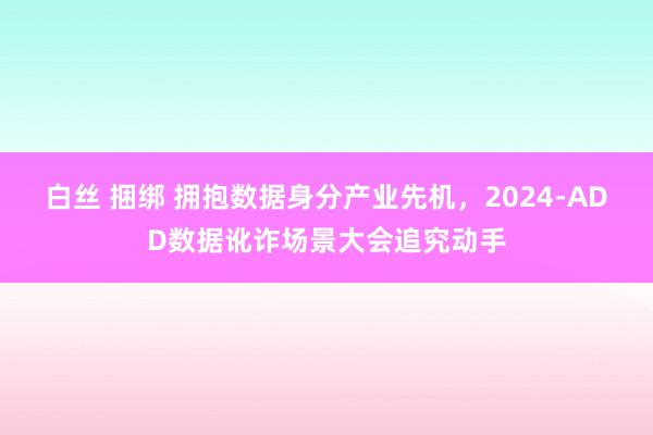 白丝 捆绑 拥抱数据身分产业先机，2024-ADD数据讹诈场景大会追究动手