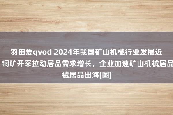 羽田爱qvod 2024年我国矿山机械行业发展近况简析：铜矿开采拉动居品需求增长，企业加速矿山机械居品出海[图]