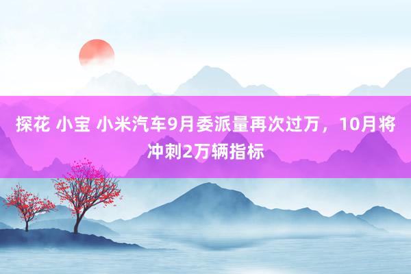 探花 小宝 小米汽车9月委派量再次过万，10月将冲刺2万辆指标