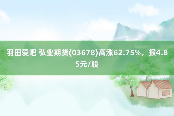 羽田爱吧 弘业期货(03678)高涨62.75%，报4.85元/股