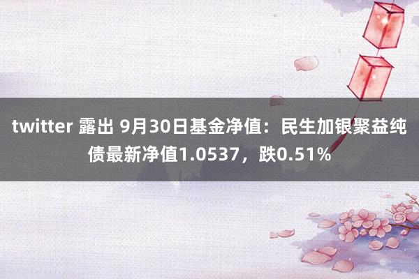 twitter 露出 9月30日基金净值：民生加银聚益纯债最新净值1.0537，跌0.51%