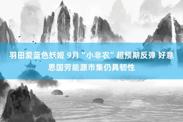 羽田爱蓝色妖姬 9月“小非农”超预期反弹 好意思国劳能源市集仍具韧性