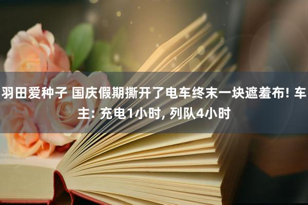 羽田爱种子 国庆假期撕开了电车终末一块遮羞布! 车主: 充电1小时， 列队4小时