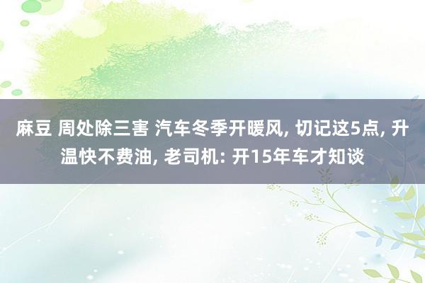 麻豆 周处除三害 汽车冬季开暖风， 切记这5点， 升温快不费油， 老司机: 开15年车才知谈