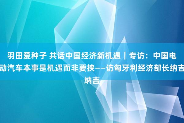 羽田爱种子 共话中国经济新机遇｜专访：中国电动汽车本事是机遇而非要挟——访匈牙利经济部长纳吉