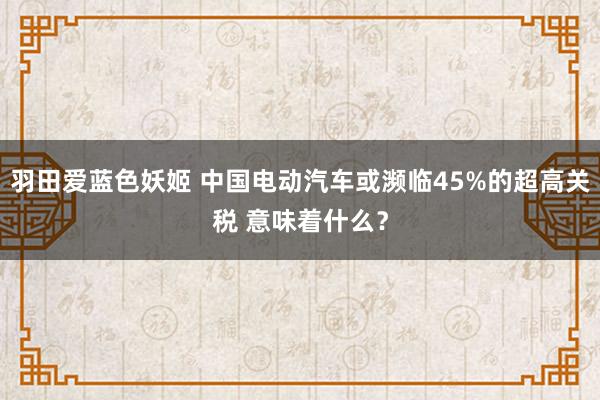 羽田爱蓝色妖姬 中国电动汽车或濒临45%的超高关税 意味着什么？