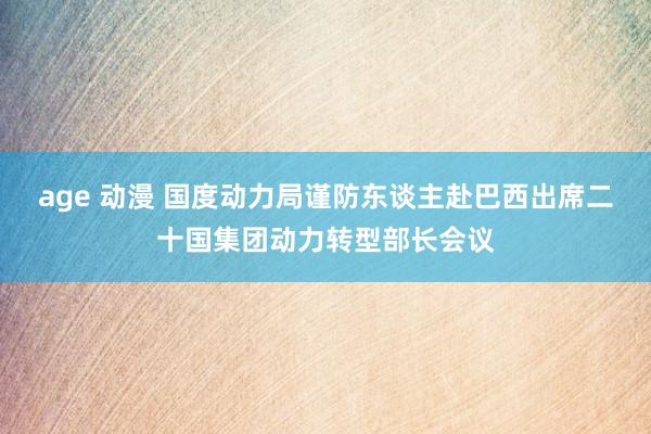 age 动漫 国度动力局谨防东谈主赴巴西出席二十国集团动力转型部长会议