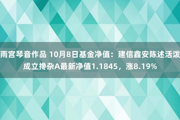 雨宫琴音作品 10月8日基金净值：建信鑫安陈述活泼成立搀杂A最新净值1.1845，涨8.19%