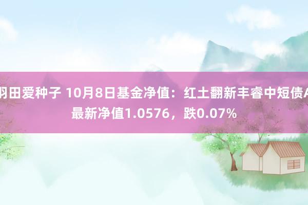 羽田爱种子 10月8日基金净值：红土翻新丰睿中短债A最新净值1.0576，跌0.07%