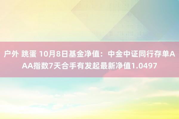 户外 跳蛋 10月8日基金净值：中金中证同行存单AAA指数7天合手有发起最新净值1.0497