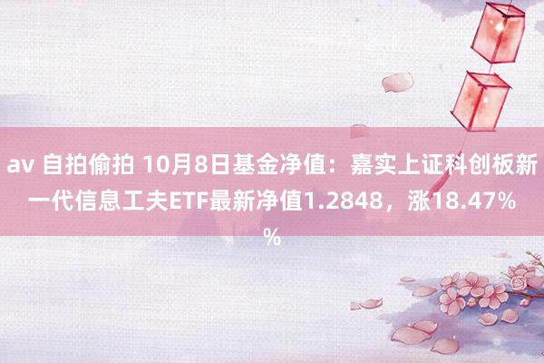 av 自拍偷拍 10月8日基金净值：嘉实上证科创板新一代信息工夫ETF最新净值1.2848，涨18.47%