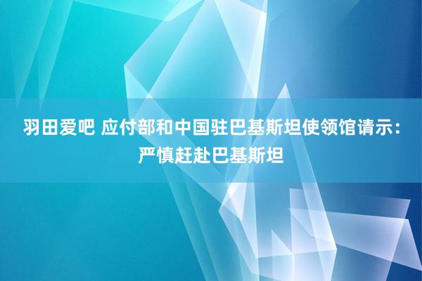 羽田爱吧 应付部和中国驻巴基斯坦使领馆请示：严慎赶赴巴基斯坦